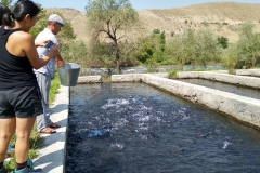 Toktogul-Karaköl-8