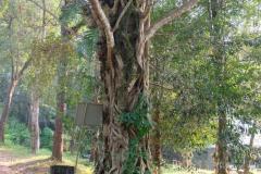 Von-Vientiane-nach-Pakxan-14