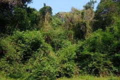 Von-Vientiane-nach-Pakxan-19