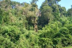 Von-Vientiane-nach-Pakxan-24