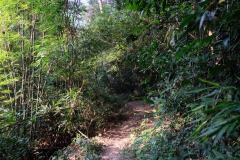 Von-Vientiane-nach-Pakxan-27
