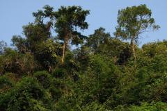 Von-Vientiane-nach-Pakxan-5