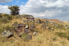 Wandern-im-Naturreservat-Aksu-Jabagly-11