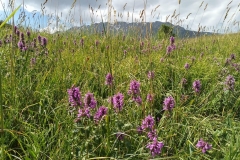 Wandern-im-Naturreservat-Aksu-Jabagly-15