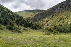 Wandern-im-Naturreservat-Aksu-Jabagly-16