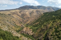 Wandern-im-Naturreservat-Aksu-Jabagly-17