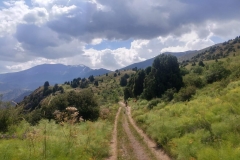 Wandern-im-Naturreservat-Aksu-Jabagly-6