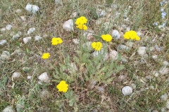 Wandern-im-Naturreservat-Aksu-Jabagly-9