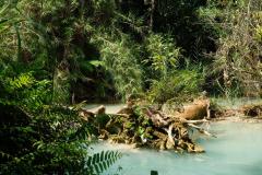 Kuang-Si-und-Luang-Prabang-19