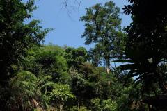 Wasserfall-mit-Kneipe-in-Laos-3