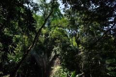 Wasserfall-mit-Kneipe-in-Laos-6