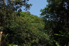 Wasserfall-mit-Kneipe-in-Laos-9