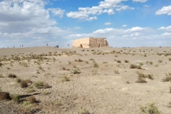 Wueste-Gobi-12