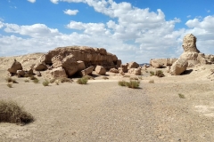 Wueste-Gobi-13