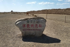 Wueste-Gobi-16