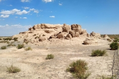 Wueste-Gobi-22