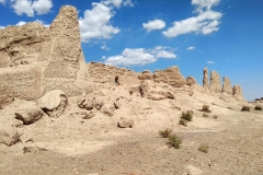 Wueste-Gobi-23