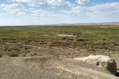 Wueste-Gobi-8