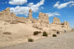 Wueste-Gobi-9