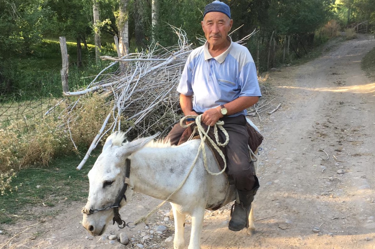 Rückfahrt ins kirgisische Bishkek